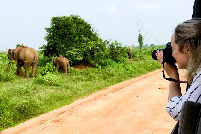 Yala Safari Day Trip from Bentota/ Kalutara/ Ahungalla/ Hikkaduwa - Who will enjoy this safari most?