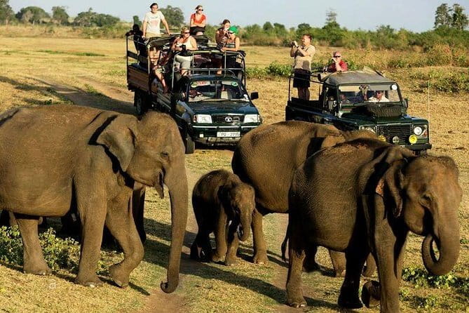Yala Safari Private Day Tour From Kaluthara/Beruwala/Bentota/Kosgoda/Ahungalla - Is $220 Per Person Good Value?