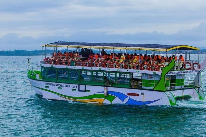 Yala Safari Private Day Tour From Kaluthara/Beruwala/Bentota/Kosgoda/Ahungalla - My Booking Verdict