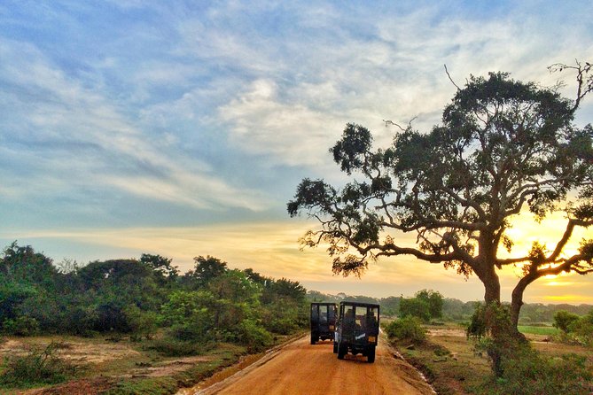 Yala Safari Private Day Trip from Bentota and Kalutara Areas - The four-hour jeep safari in Yala