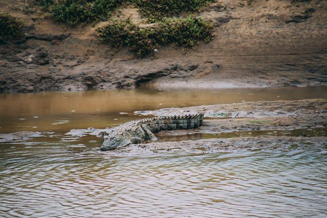 Yala Safari Private Day Trip with Return Transport -All Inclusive - Wildlife watching without false promises