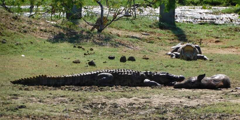 Yala Safari Tour from Hambantota Port area (Shore Excursion) - The value of $67, and the extra costs