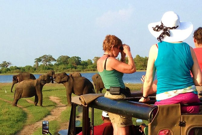 Yala Safari Tour from Hambantota Port (Shore Excursion) - Why Yala makes an exciting shore excursion
