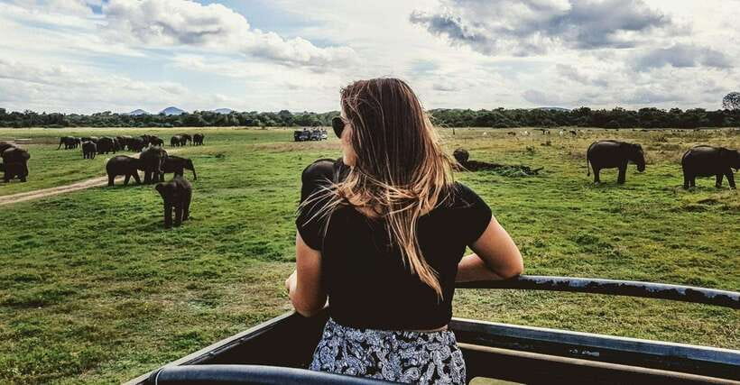 YALA SAFARI TOUR from TANGALLE/HIRIKETIYA/MIRISSA/GALLE - Key points to know before booking