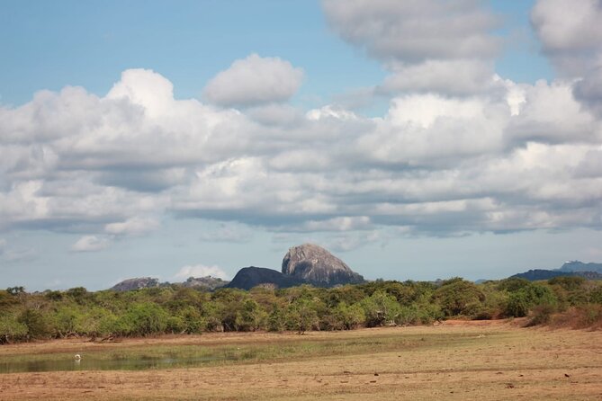 Yala safari Tours Morning /Afternoon /Fullday - The value of the $36.41 price
